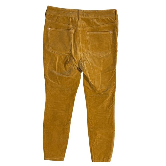 Pilcro High-Rise Skinny Pants Corduroy Mustard Yellow Size 29 Exposed Button Fly - Picture 2 of 9